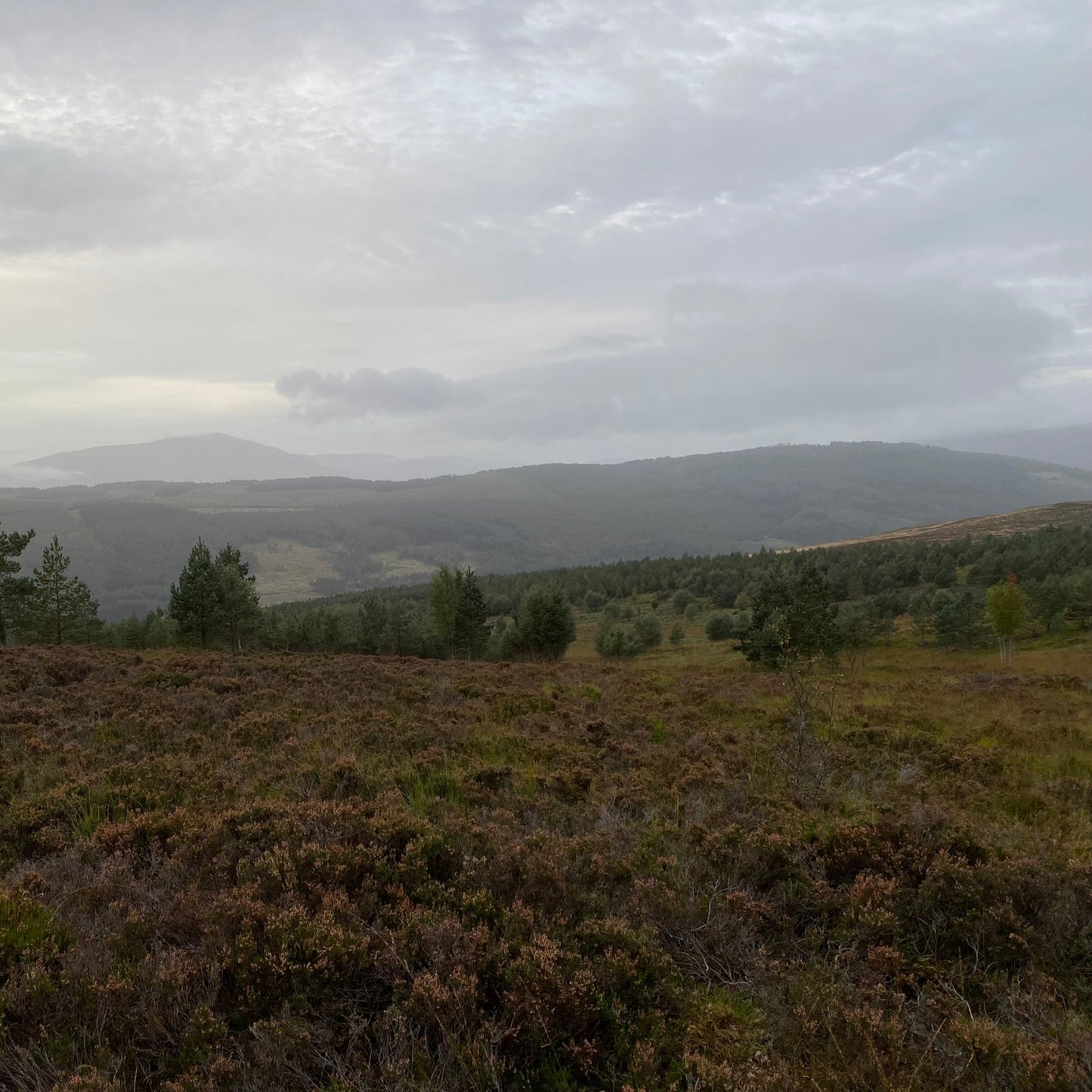 Scotland - Near Pitlochry PH18 - Guided Stalking