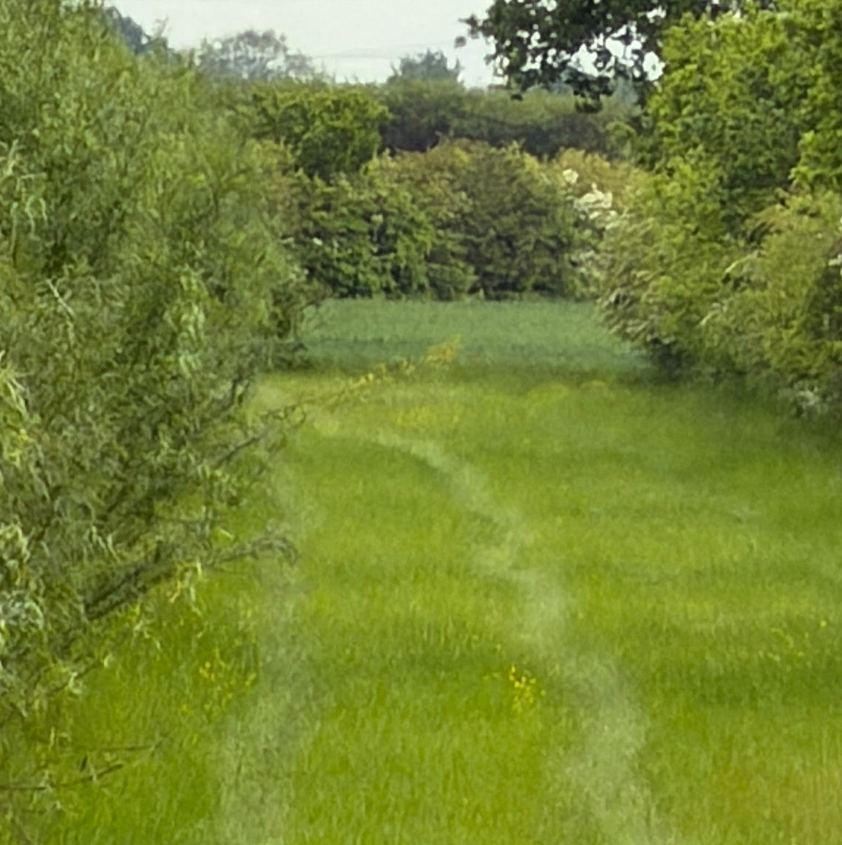 Yorkshire - Near Garforth, Leeds LS25 - Guided Stalking