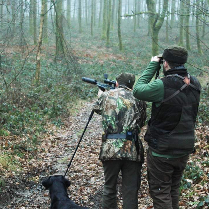 Guide and guest glassing woodland for deer