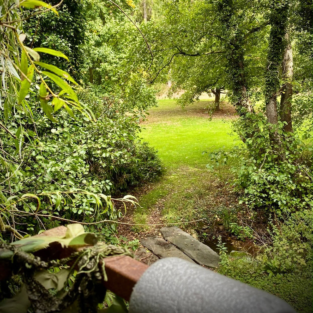 Yorkshire - Near Garforth, Leeds LS25 - Guided Stalking