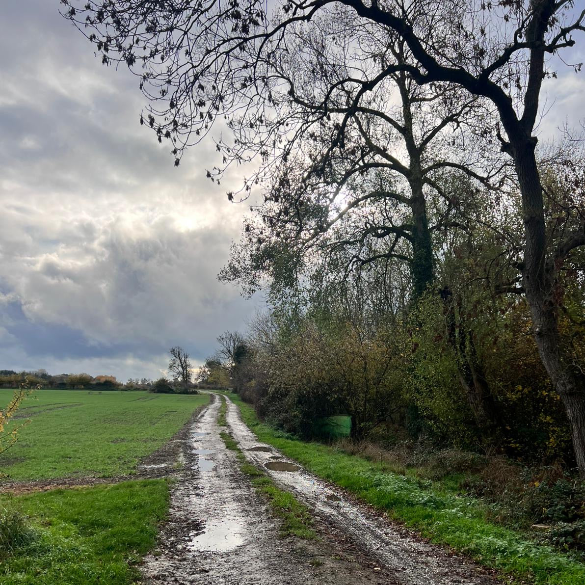 Buckinghampshire - Near Milton Keynes MK17 - Cull & Management Day