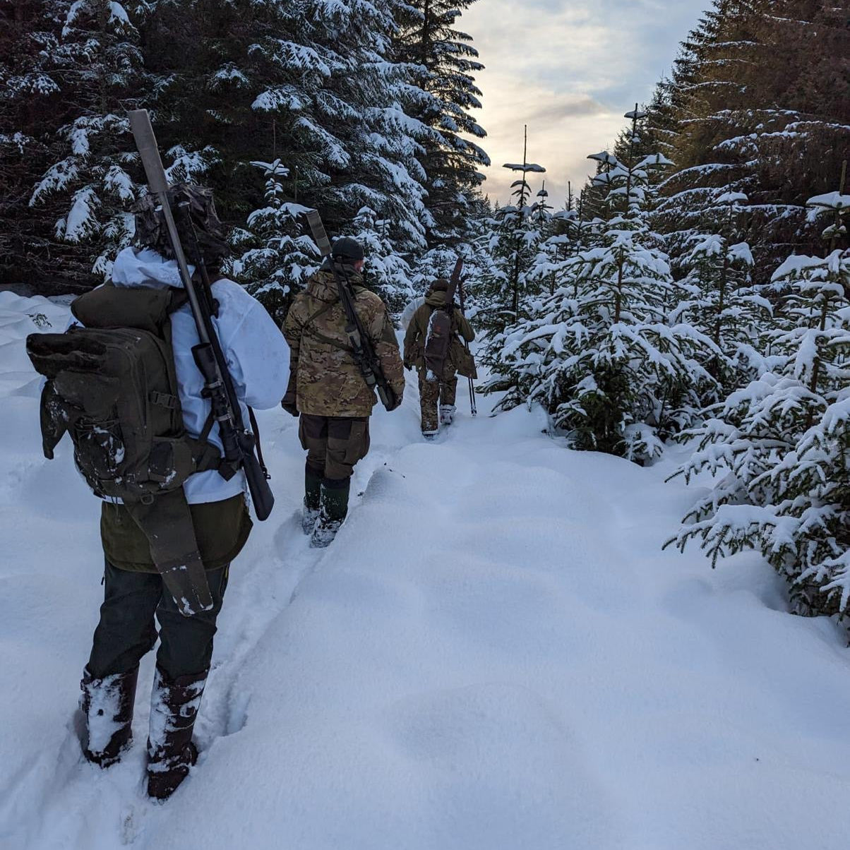 Scotland - Near Lairg IV27 - Guided Stalking