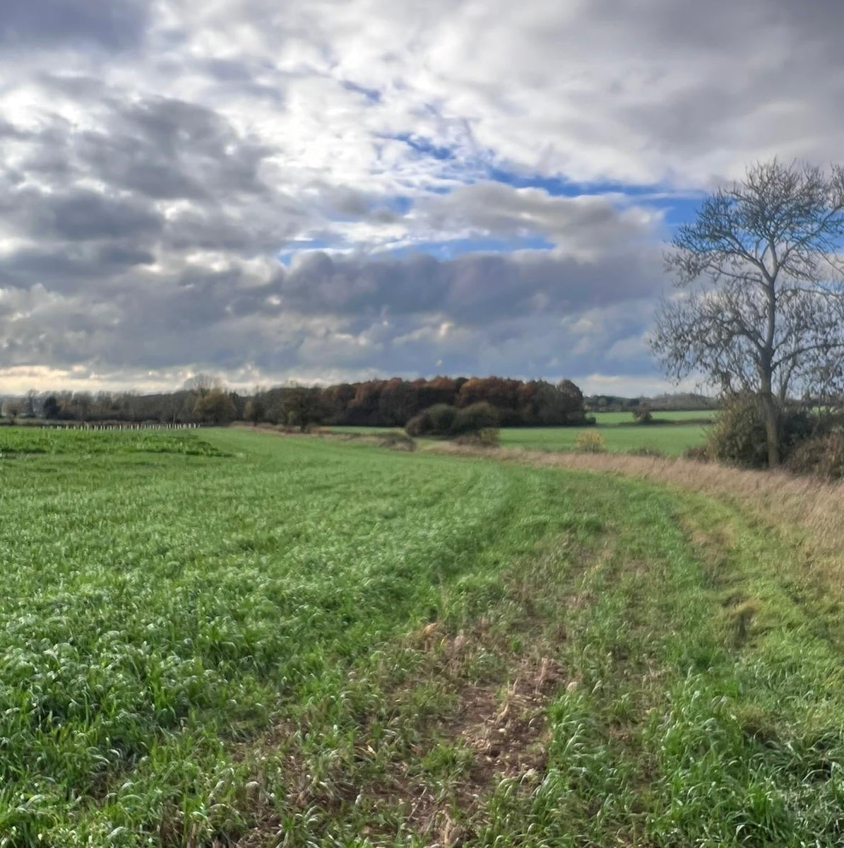Buckinghampshire - Near Milton Keynes MK17 - Cull & Management Day