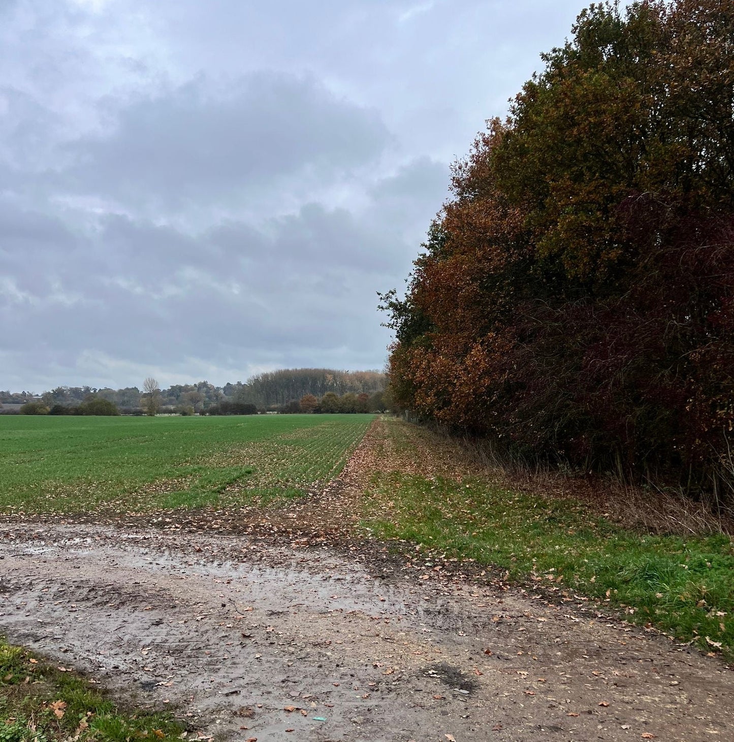 Buckinghampshire - Near Milton Keynes MK17 - Cull & Management Day