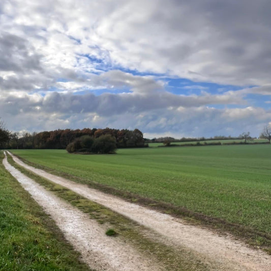 Buckinghamshire - Near Milton Keynes MK17 - Guided Stalking