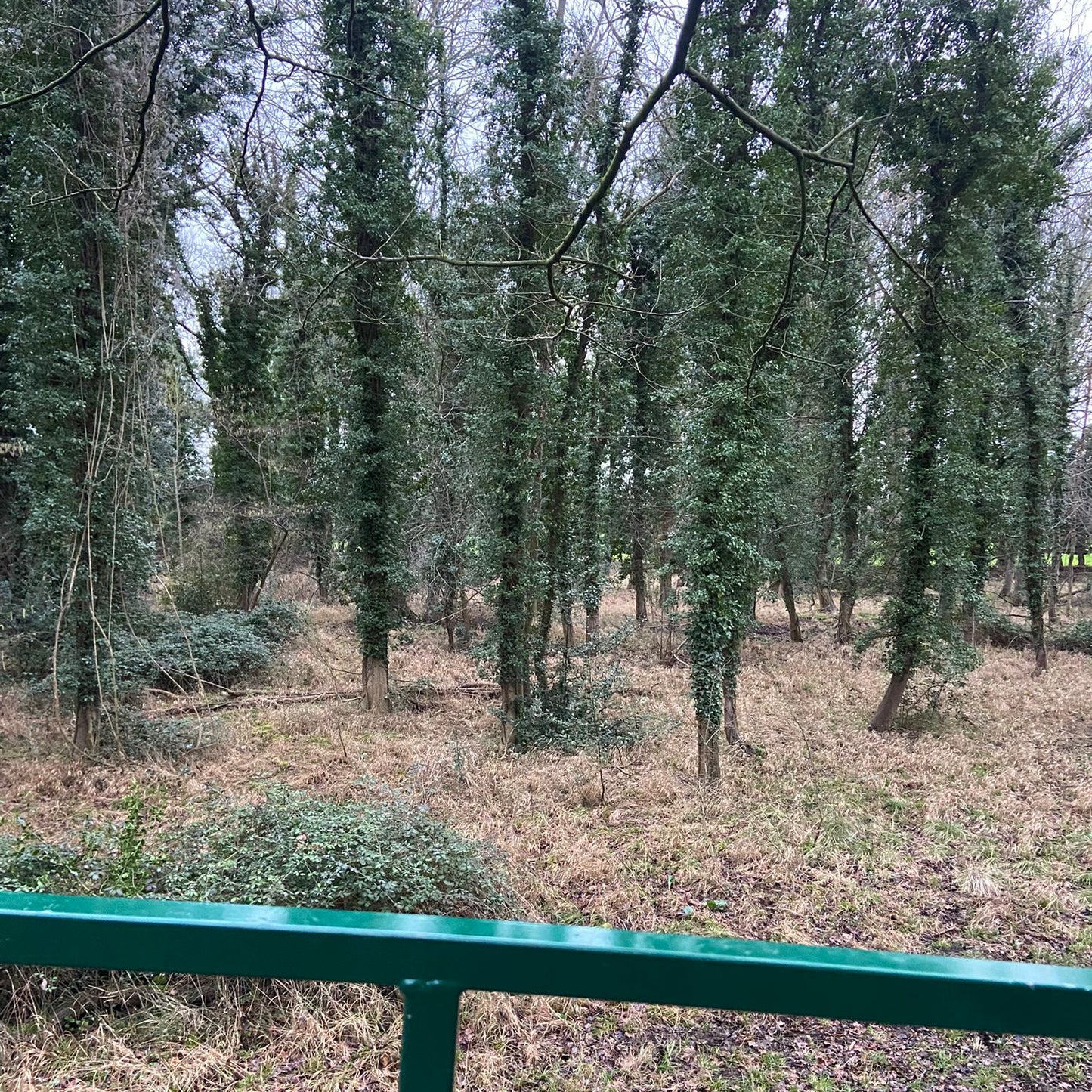 Cambridgeshire- Near Cambridge CB2 - Guided Stalking