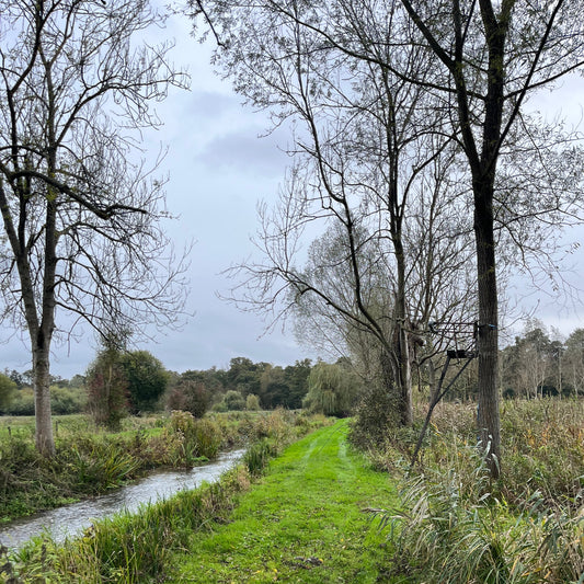 MUNTJAC CULLING (BERKSHIRE - RG17) - CULL DAYS FOR 1-3 PEOPLE