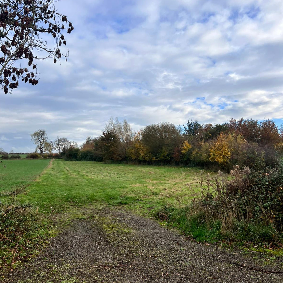 Buckinghamshire - Near Milton Keynes MK17 - Guided Stalking