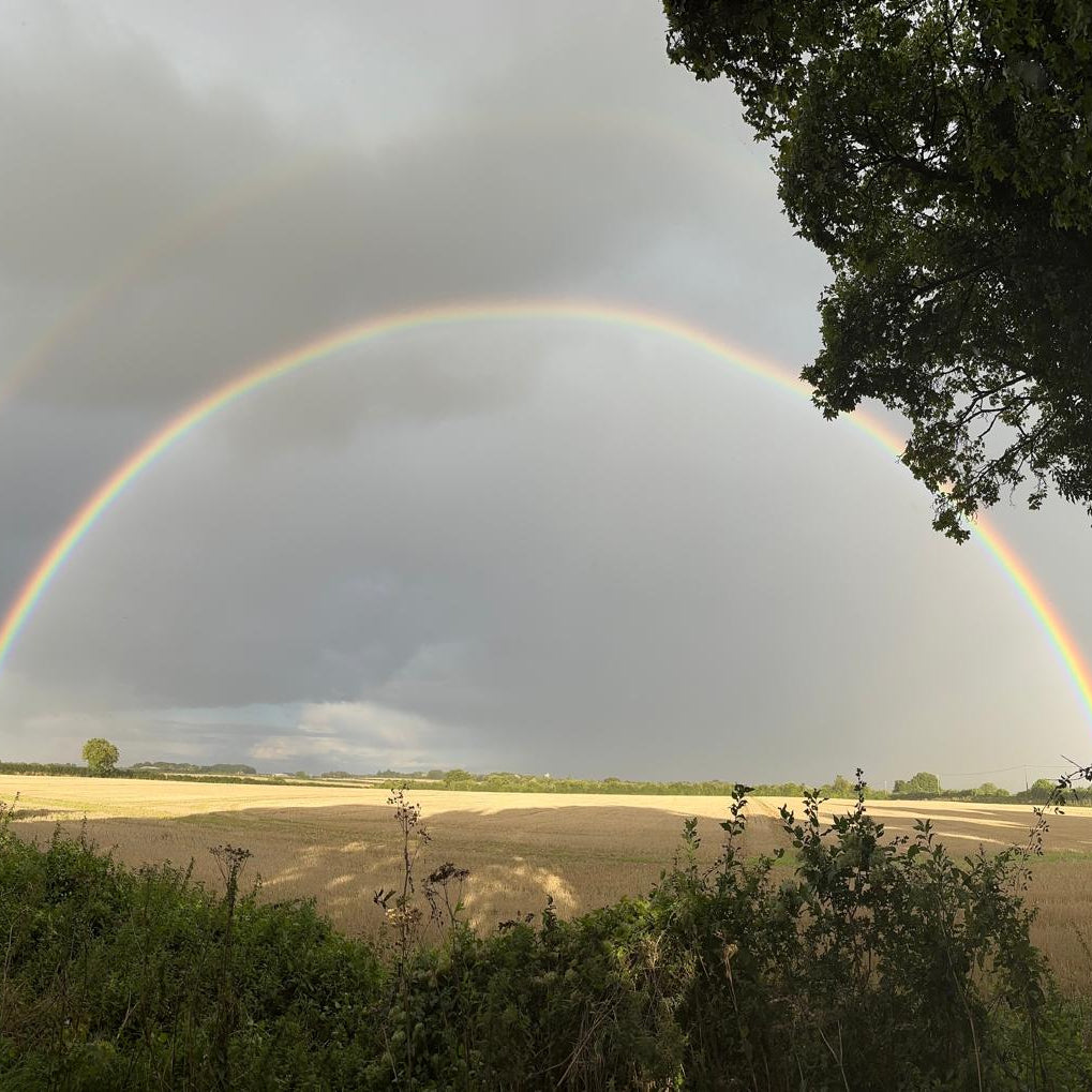 FALLOW, ROE & MUNTJAC DOE CULLING (HAMPSHIRE - NEAR ANDOVER SP11) - NO SHOT FEES, UNLIMITED CULL DAYS FOR 1-9 PEOPLE