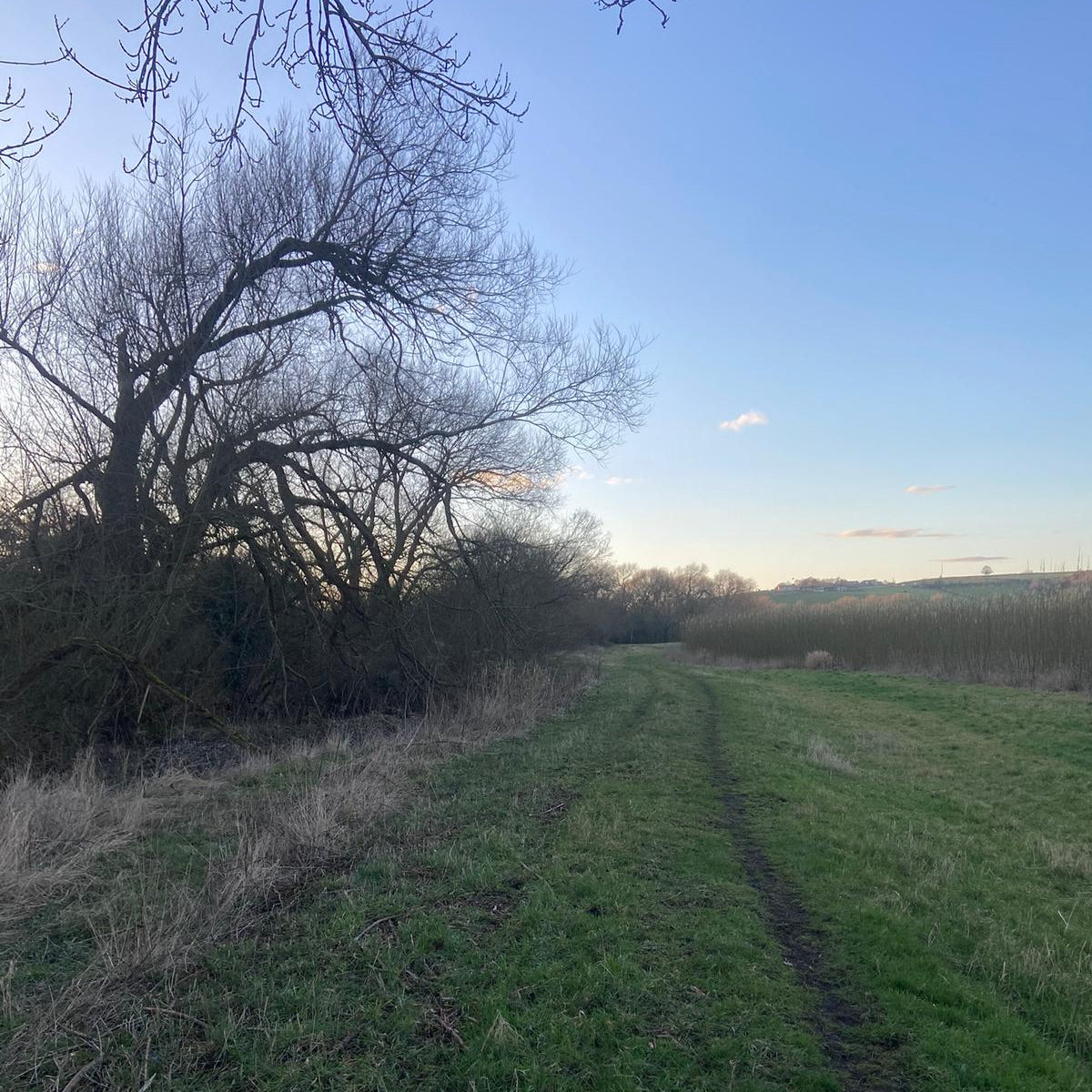 Yorkshire - Near Harewood LS17 - Guided Stalking