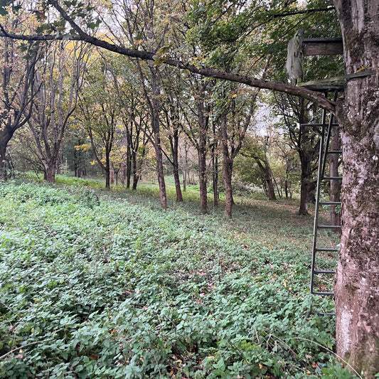 Berkshire - Near Kintbury RG17 - Unguided Stalking