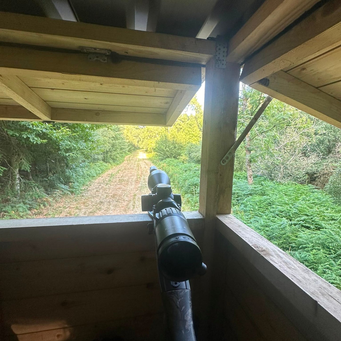 Hampshire - Near Alton GU34 - Guided Stalking