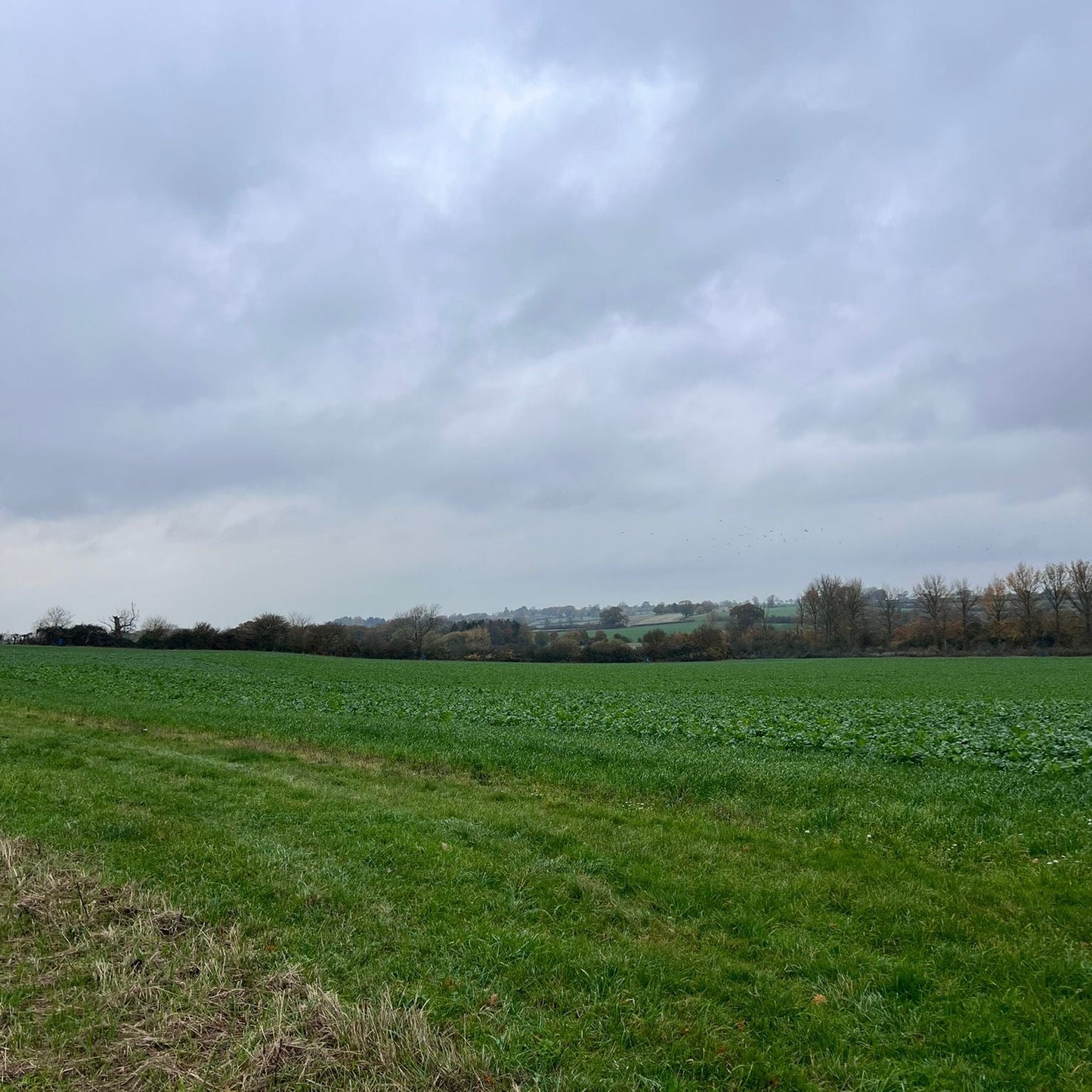 Buckinghampshire - Near Milton Keynes MK17 - Cull & Management Day