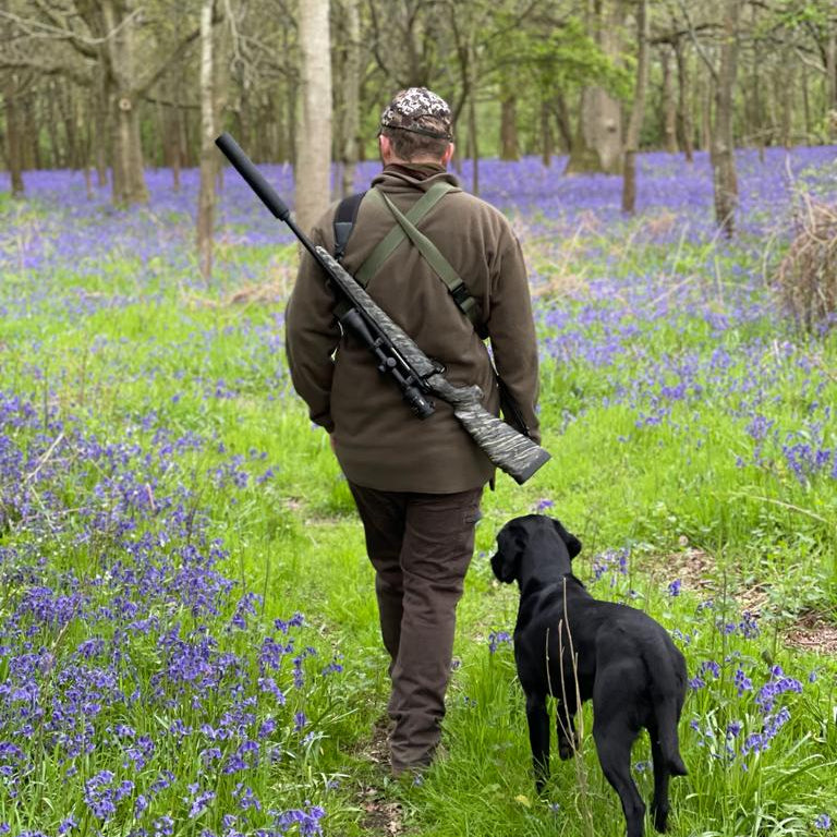 Stalker and dog walking through a bluebell wood