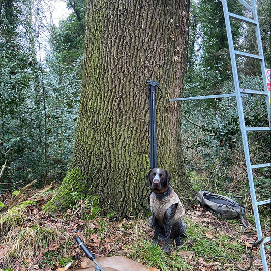 Cambridgeshire- Near Cambridge CB2 - Guided Stalking