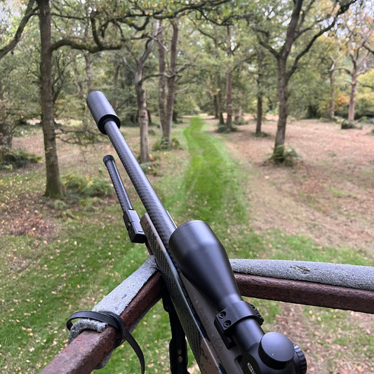 FALLOW & MUNTJAC CULLING (HAMPSHIRE SP11) - CULL DAYS FOR 1-2 PEOPLE