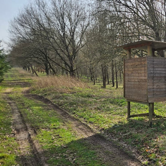 Berkshire - Near Kintbury RG17 - Unguided Stalking