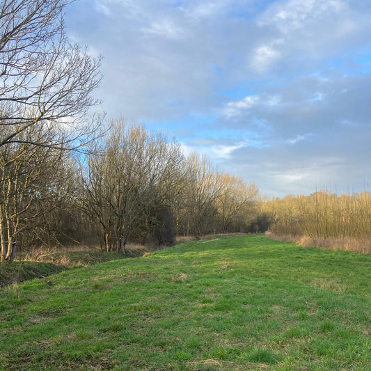 Gloucester - Near Cricklade SN6 - Cull & Management Day