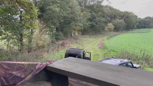 FALLOW & MUNTJAC DOE CULLING (HAMPSHIRE - NEAR READING RG7) - NO SHOT FEES, UNLIMITED CULL DAYS FOR 1-9 PEOPLE