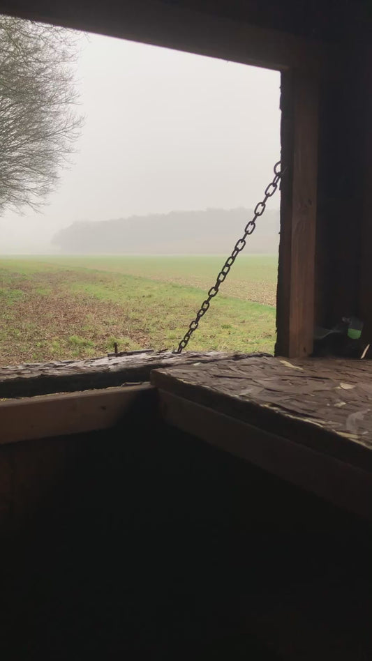 ROE & MUNTJAC DOE CULLING (HAMPSHIRE - NEAR BASINGSTOKE RG25) - NO SHOT FEES, UNLIMITED CULL DAYS FOR 1-9 PEOPLE